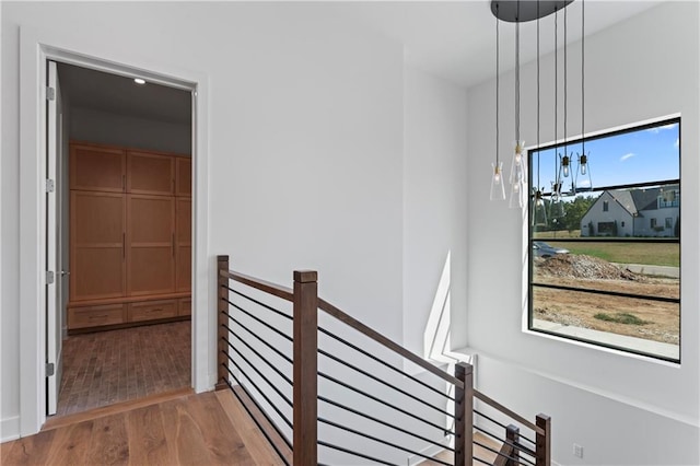 interior space featuring a wealth of natural light and hardwood / wood-style floors