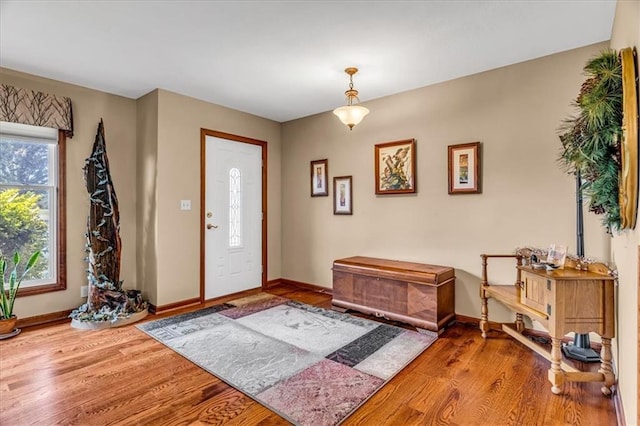 foyer entrance with baseboards and wood finished floors