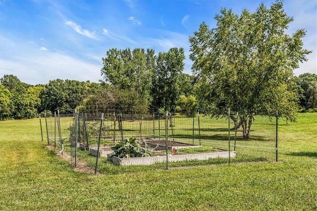 view of property's community featuring a lawn and a rural view