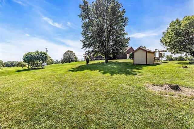 view of yard featuring a shed