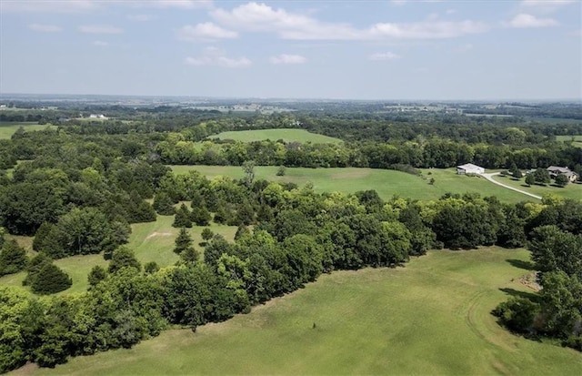 bird's eye view with a forest view