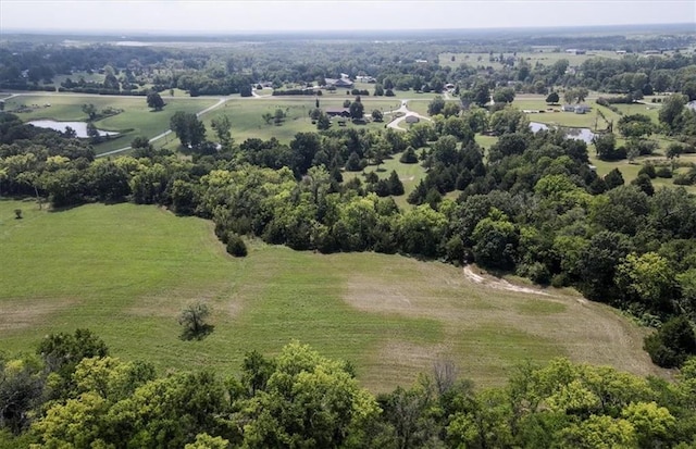 drone / aerial view with a water view and a rural view