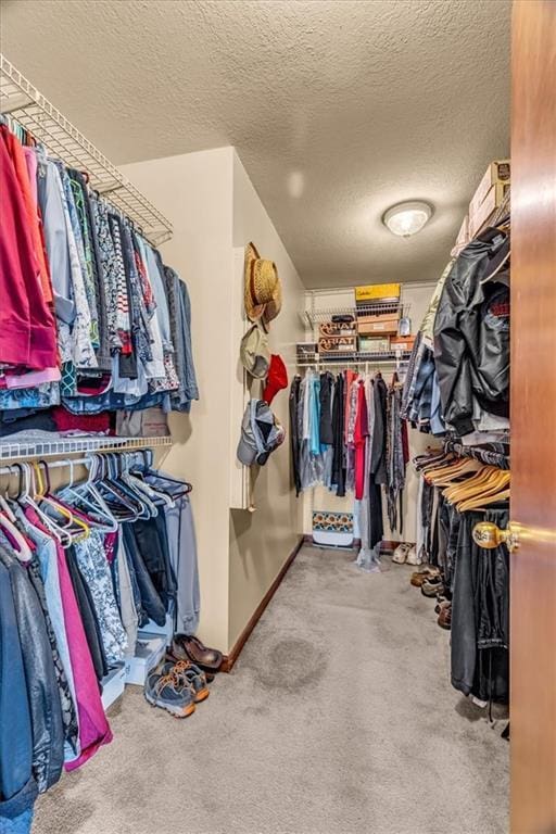 walk in closet featuring light carpet