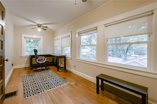 office space with light wood-type flooring, crown molding, and ceiling fan