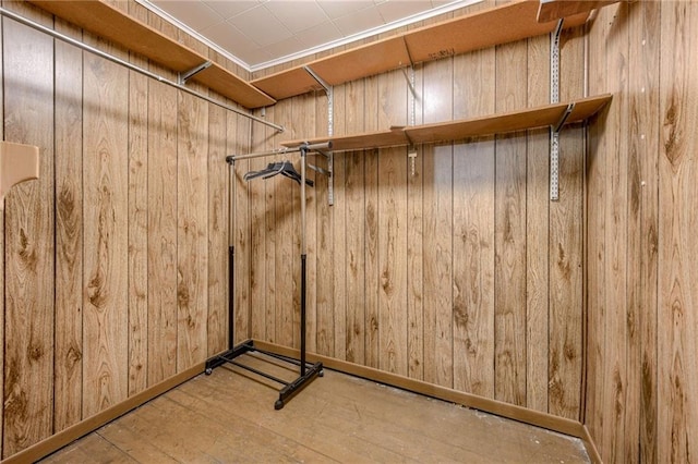 spacious closet with hardwood / wood-style flooring