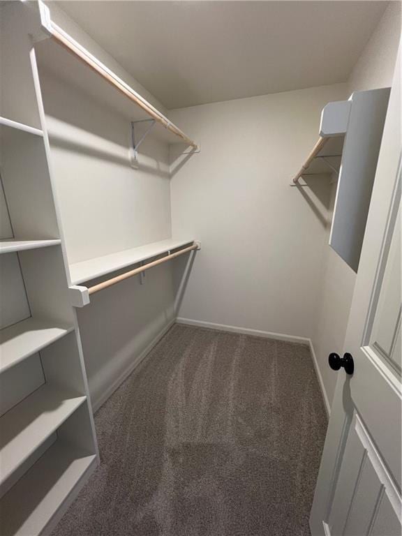 spacious closet with dark colored carpet