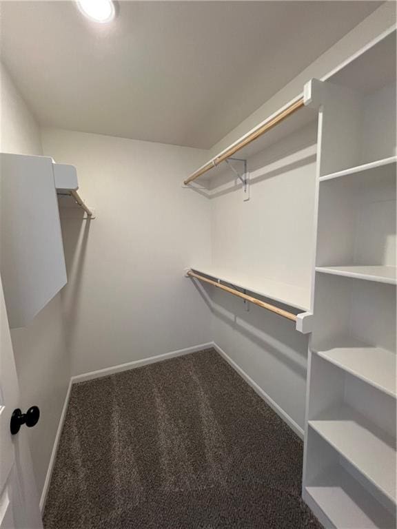 walk in closet with dark carpet