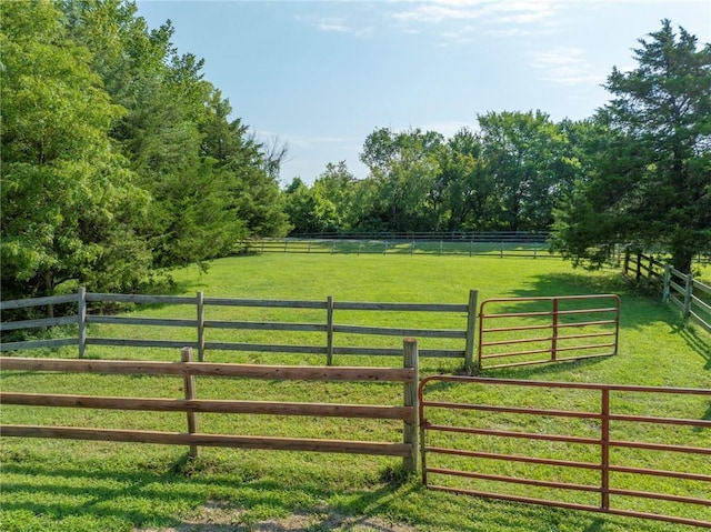 view of yard with a rural view