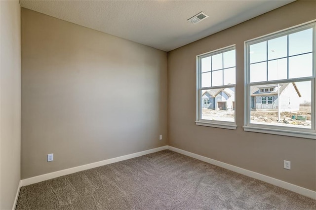 unfurnished room with carpet and a textured ceiling