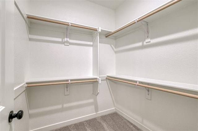 walk in closet with carpet flooring