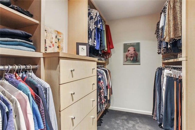 walk in closet with carpet flooring