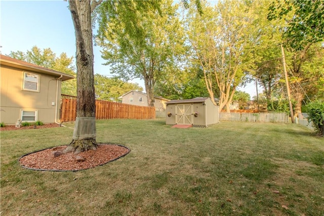 view of yard with a shed