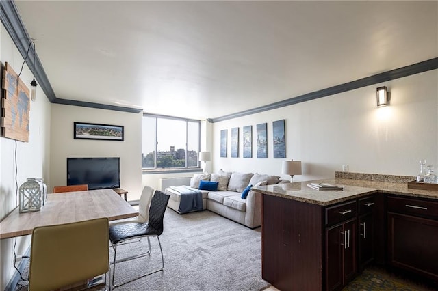 700 E 8th St Unit 11P, Kansas City, MO 64106 - living area featuring ornamental molding and dark colored carpet