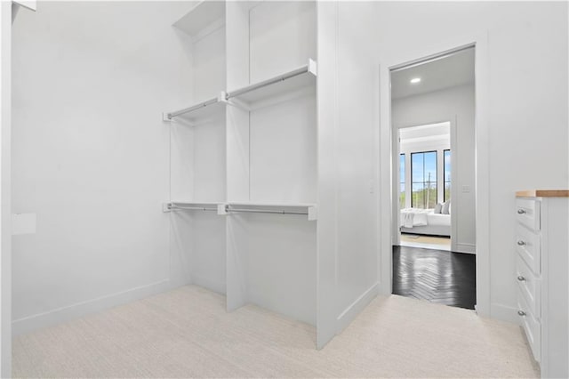 1816 NE Lashbrook Cir, Lees Summit, MO 64086 - walk in closet featuring carpet