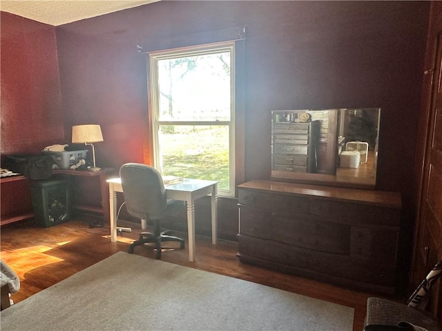 office with hardwood / wood-style floors