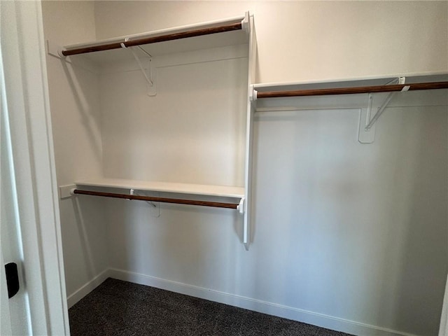 spacious closet with carpet flooring