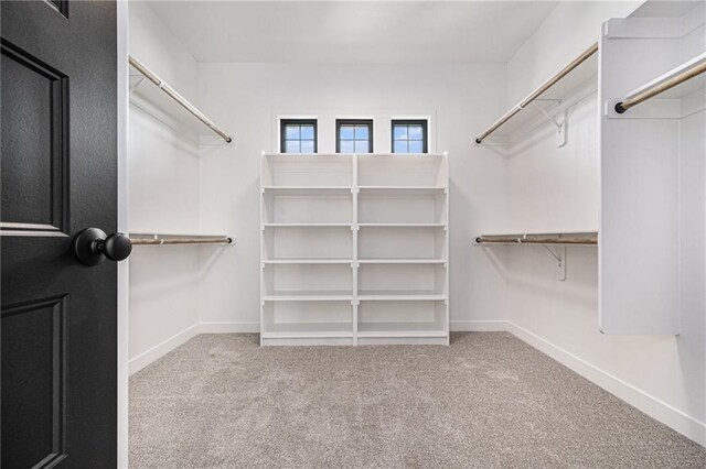 walk in closet with light carpet