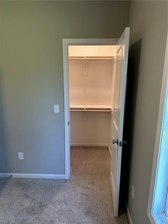 walk in closet with light colored carpet