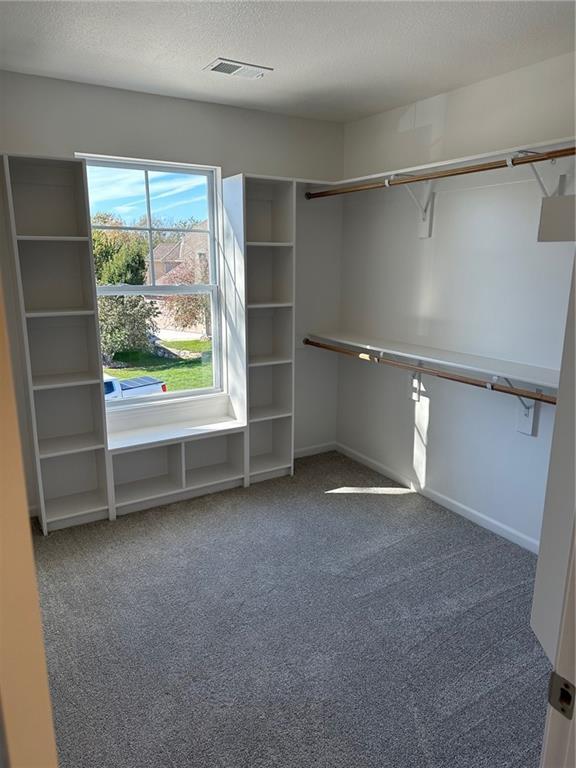 spacious closet with visible vents and carpet flooring