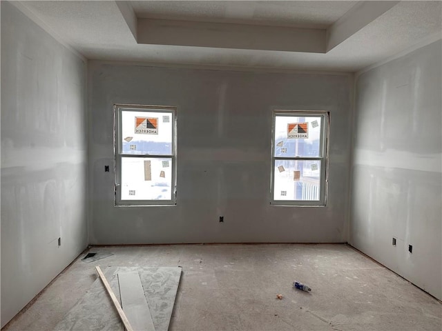 spare room featuring a raised ceiling