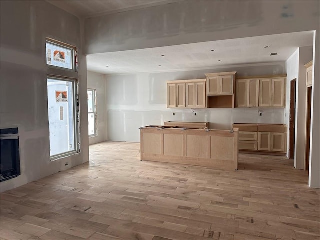 kitchen featuring light brown cabinets and light hardwood / wood-style floors