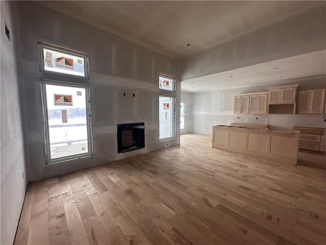 unfurnished living room with a wealth of natural light and light hardwood / wood-style flooring