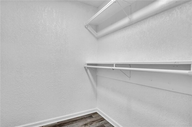 walk in closet featuring wood-type flooring