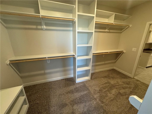 walk in closet with carpet floors