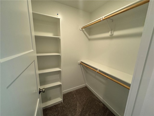 spacious closet featuring dark colored carpet