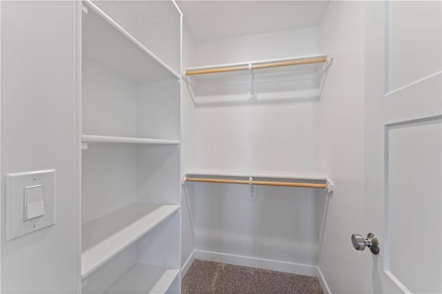 walk in closet with carpet flooring