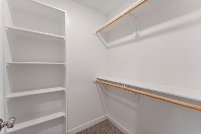 spacious closet featuring carpet floors