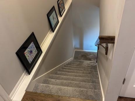 stairs featuring carpet