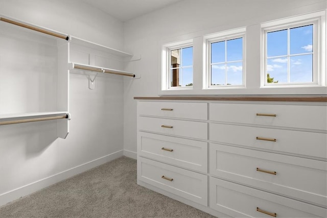 8732 N Lewis Ave, Kansas City, MO 64157 - walk in closet with light colored carpet