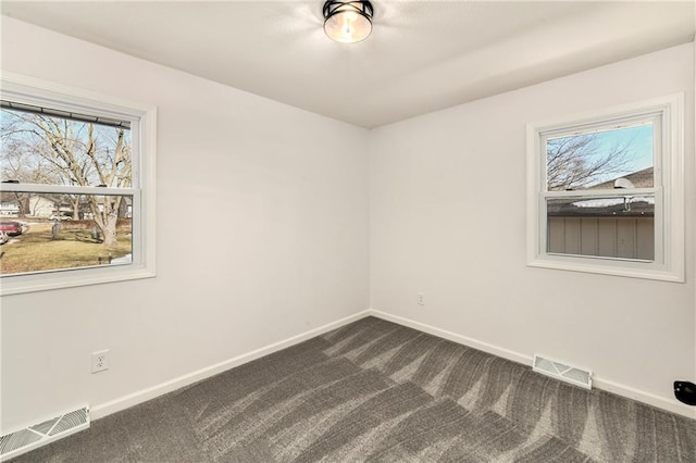 empty room featuring a wealth of natural light and carpet