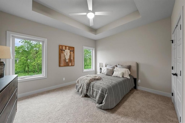 8720 N Lewis Ave, Kansas City, MO 64157 - bedroom with baseboards, a tray ceiling, light carpet, and a closet