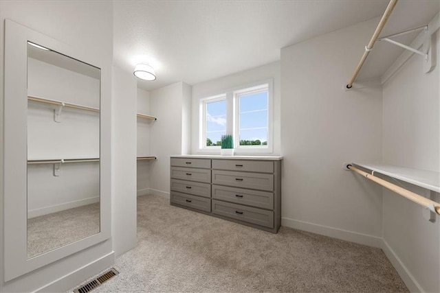 8720 N Lewis Ave, Kansas City, MO 64157 - walk in closet with light carpet