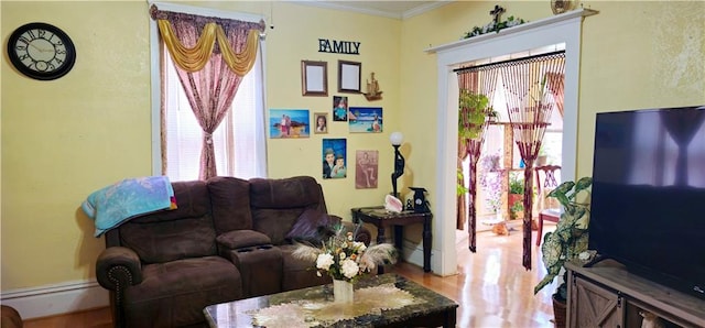 living room with crown molding and wood-type flooring