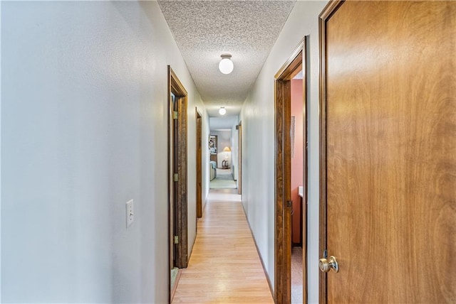 hallway with a textured ceiling and light hardwood / wood-style flooring