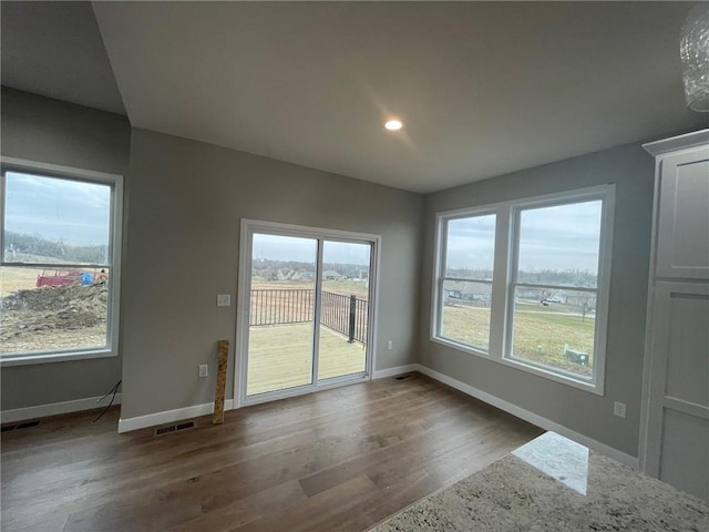 interior space featuring dark hardwood / wood-style flooring and a healthy amount of sunlight