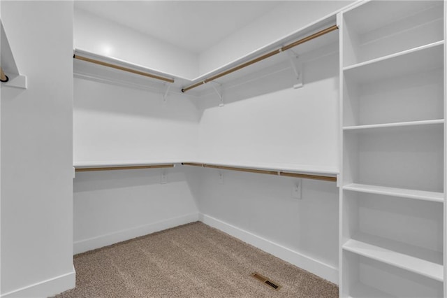 spacious closet with light colored carpet