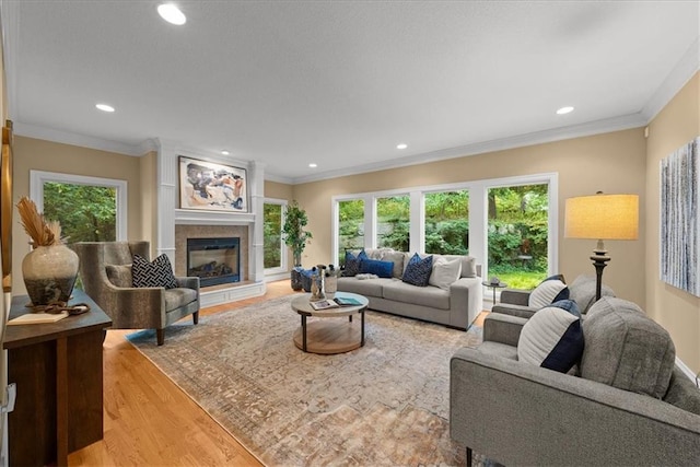 living room featuring a fireplace, light wood-type flooring, and crown molding