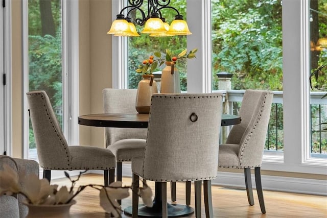 dining room featuring light wood-type flooring and an inviting chandelier