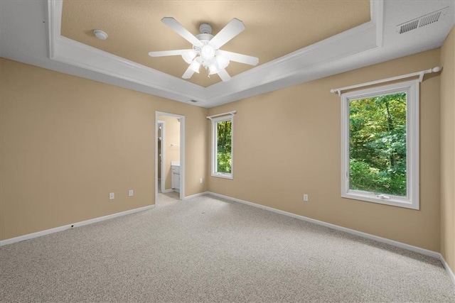 spare room featuring a raised ceiling, ceiling fan, and plenty of natural light