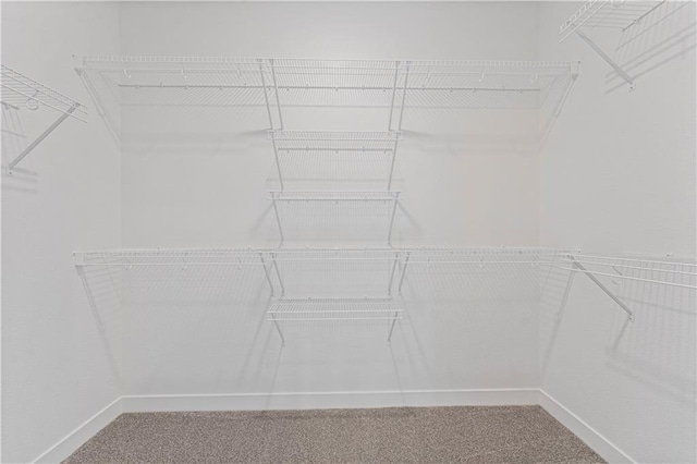 walk in closet with carpet flooring