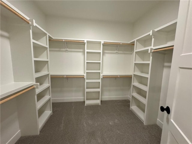 spacious closet with dark colored carpet