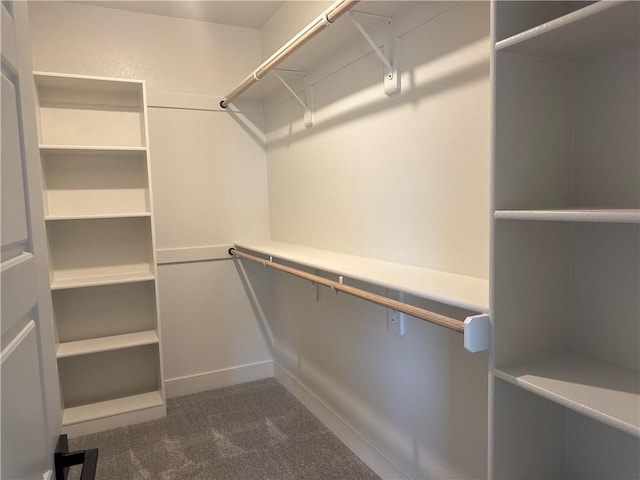 spacious closet featuring dark colored carpet