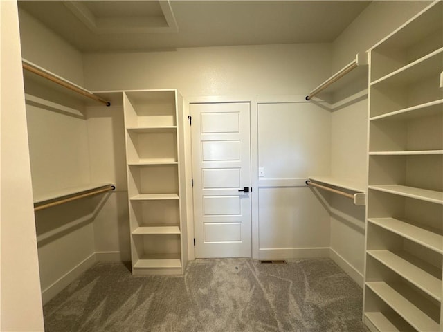 spacious closet featuring carpet