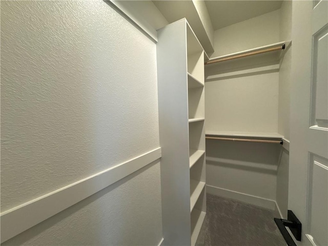 spacious closet with dark carpet