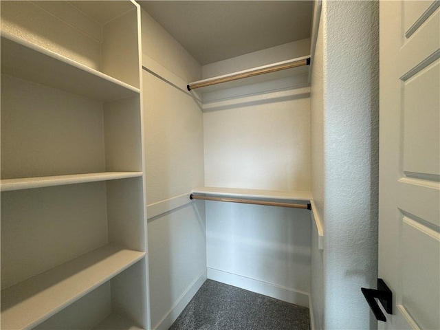 view of walk in closet