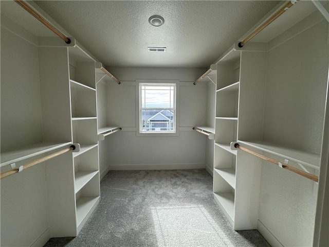 walk in closet with light carpet